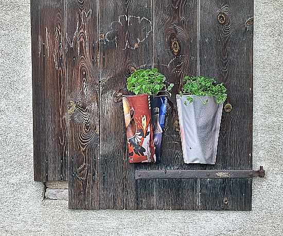 PflanzenBasis Beispiel